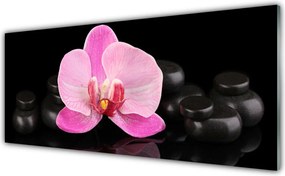 Panel Szklany Równowaga Natury: Kwiat i Kamień