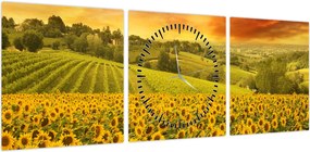 Obraz - Pole słoneczników (z zegarem) (90x30 cm)