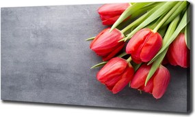 Foto obraz na płótnie Czerwone tulipany