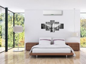Obraz - Samolot (125x70 cm)