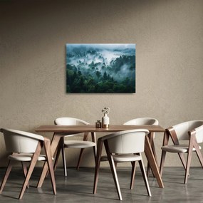 Obraz na szkle - Las we mgle (70x50 cm)