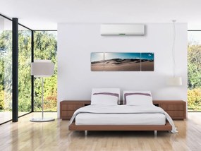 Obraz - Z pustyni (170x50 cm)
