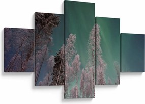 Obraz zorzy polarnej nad zamarzniętymi drzewami (125x70 cm)