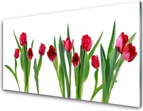 Szkło Ozdobne do Kuchni Barwna Kompozycja Tulipanów