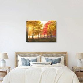 Obraz jesiennych drzew (70x50 cm)