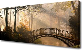 Obraz canvas Drewniany Mostek w Lesie