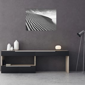 Obraz - Wydma piaskowa (70x50 cm)