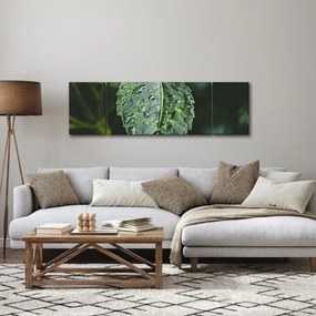 Obraz - krople na liściu (170x50 cm)