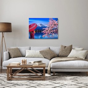 Obraz na szkle - Widok na szczyt, Japonia (70x50 cm)