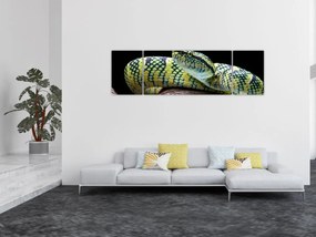 Obraz - Grzechotnik Waglera (170x50 cm)