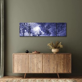 Obraz - Magiczna zimowa noc (170x50 cm)