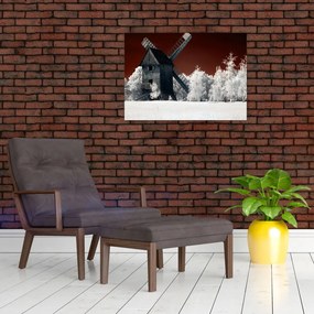 Obraz na szkle młyna (70x50 cm)