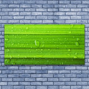 Obraz canvas Soczysta Zieleń Polany