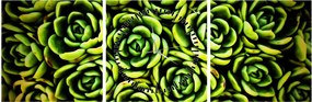 Obraz bez grzywki (z zegarem) (90x30 cm)