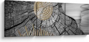 Obraz - Pień drzewa w kolażu (z zegarem) (90x30 cm)