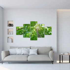 Obraz - Las (125x70 cm)