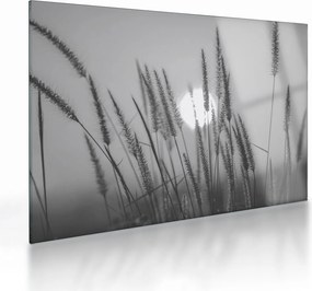 Obraz na szkle - Łąka o zachodzie słońca (70x50 cm)