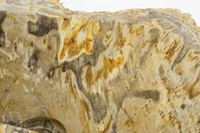 Umywalka z kamienia naturalnego FOSSIL DIVERO - duża