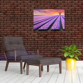 Obraz na szkle - farma kwiatów (70x50 cm)