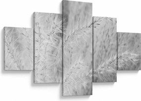 Obraz - Trawa pampasowa N⁰1 (125x70 cm)