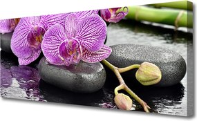 Zdjęcie na płótnie Dziki Wodospad w Sercu Lasu