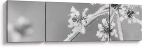 Obraz - Mrożona roślina (170x50 cm)