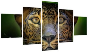 Obraz - Portret lamparta, Sri Lanka (125x70 cm)