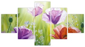 Obraz - Maki (125x70 cm)