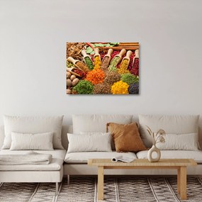 Obraz na szkle - Przyprawy z całego świata (70x50 cm)