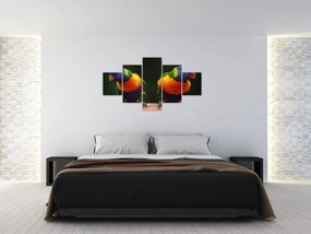 Obraz papug (125x70 cm)