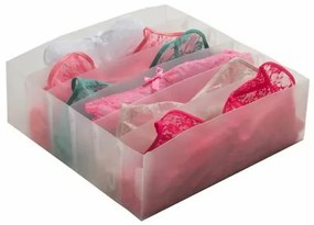 Compactor Organizer do szuflady na bieliznę Optimo, 6 przegródek