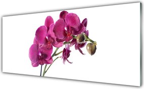 Panel Szklany Botaniczny Portret Storczyka