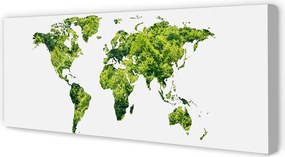 Obraz canvas na ścianę Mapa na Zielonej Trawie