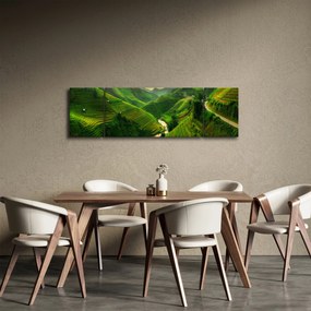 Obraz - Tarasy ryżowe Mu Cang Chai (170x50 cm)