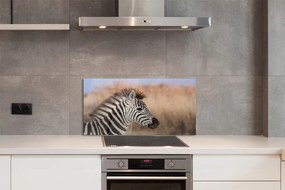 Panel szklany do Kuchni Spojrzenie Dzikiej Zebry