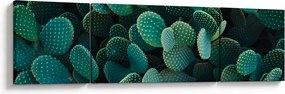 Obraz - Opuncja (170x50 cm)