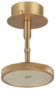 Lampa punktowa LED w kolorze złota ø 12 cm Asteria Spot – UMAGE