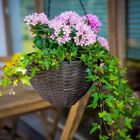 Zestaw donic okrągłych 3-elementowy wenge PATIO