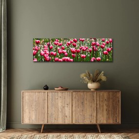 Obraz tulipanów (170x50 cm)