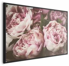 Plakat Różowe piwonie 30x21 cm z ramą czarną bez marginesu ARTGEIST B