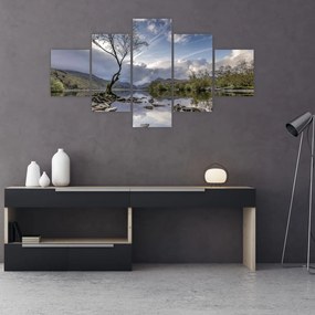 Obraz rzeki z drzewem (125x70 cm)