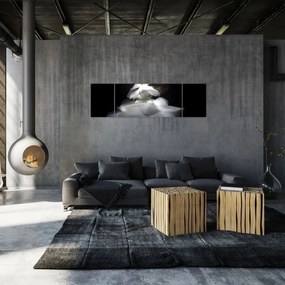 Obraz kwiatu lotosu (170x50 cm)