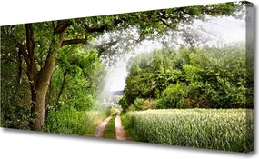 Fotoobraz na płótnie Ścieżka przez Słoneczny Las
