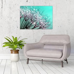 Obraz na szkle - zroszona roślina (70x50 cm)