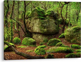 Obraz magicznego lasu (70x50 cm)