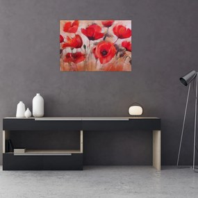 Obraz na szkle - Wilcze maki (70x50 cm)