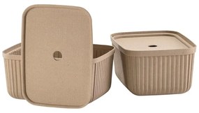Koszyki zestaw 2 szt. 32x23x20.5 cm Pulp – Zone
