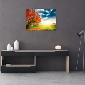 Obraz skąpanego w słońcu krajobrazu (70x50 cm)