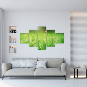 Obraz - rosa na trawie (125x70 cm)