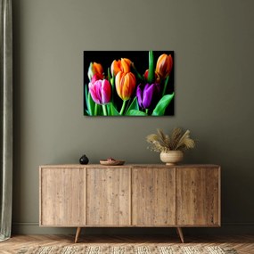 Obraz tulipanów na czarnym tle (70x50 cm)